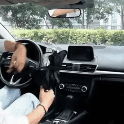 Foldable Black ABS Car Windshield Sunshade Umbrella – Universal Fit